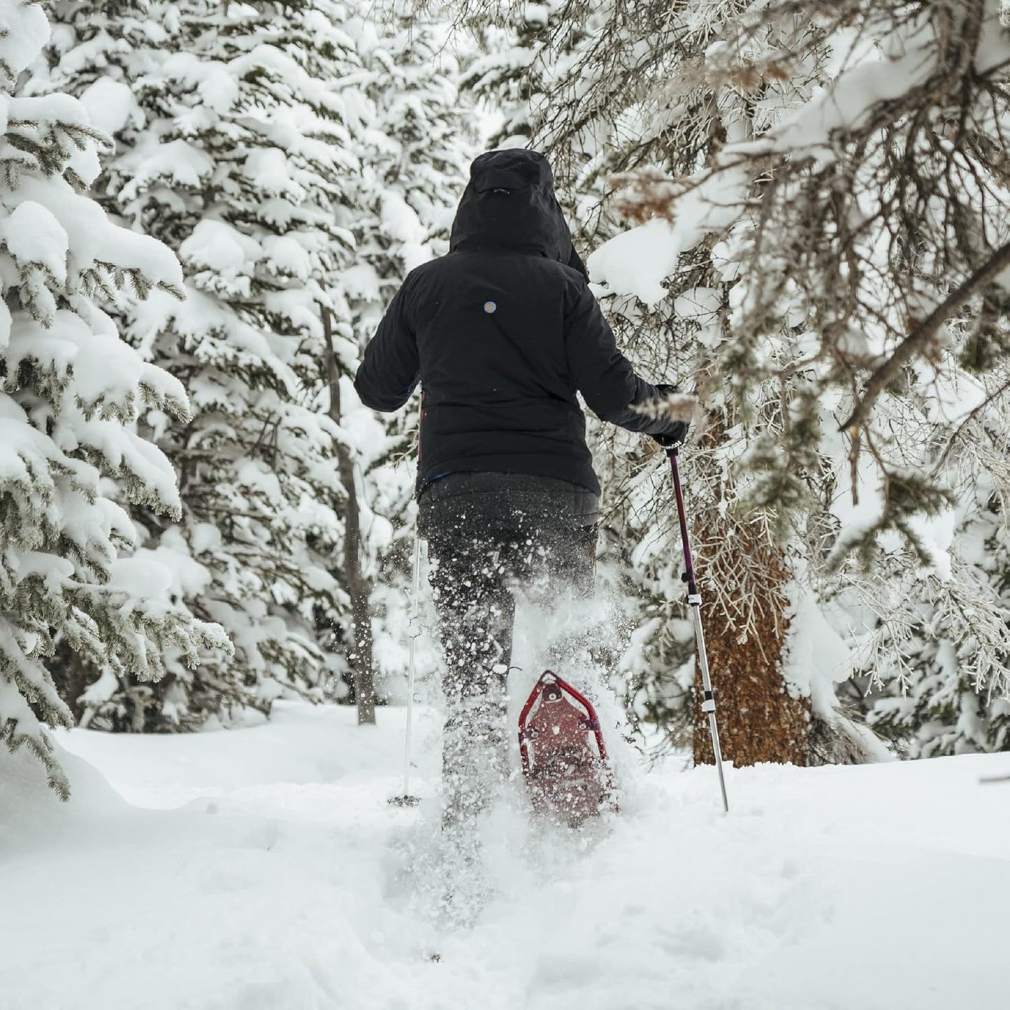 Advanced Float Women'S Snowshoe